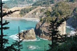 The Hidden Value of Staying in Humboldt Instead of Just Driving Through